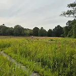 بيت للعطل 4 Star In Hovborg-by Traum