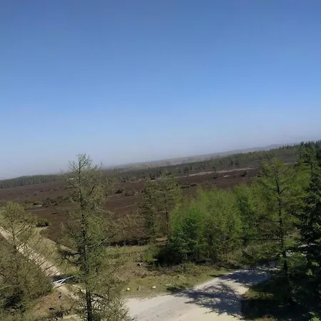 4 Star In Hovborg-by Traum *