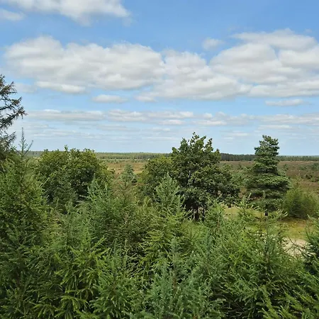 4 Star In Hovborg-by Traum *