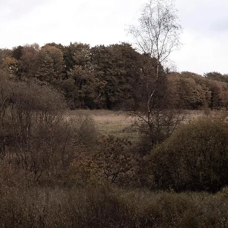 Nyaraló 4 Star In Hovborg-by Traum Hovborg