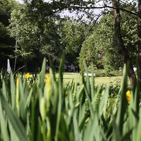 Nyaraló 4 Star In Hovborg-by Traum