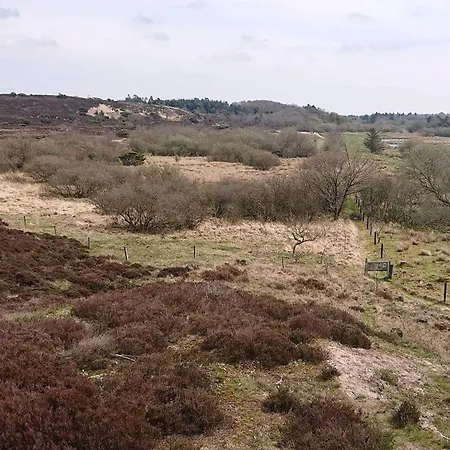 4 Star In Hovborg-by Traum