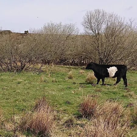 4 Star In Hovborg-by Traum Nyaraló *