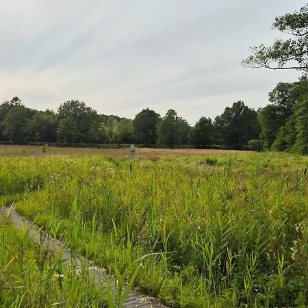 Casa de Férias 4 Star In Hovborg-by Traum