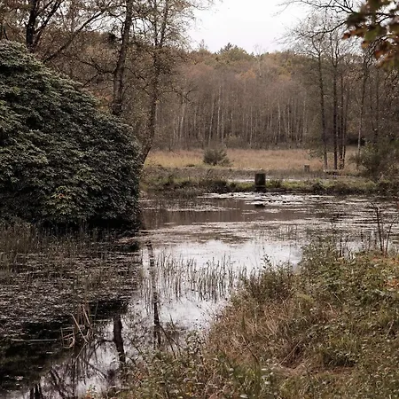 4 Star In Hovborg-by Traum Nyaraló *