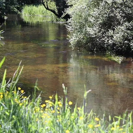 Nyaraló 4 Star In Hovborg-by Traum