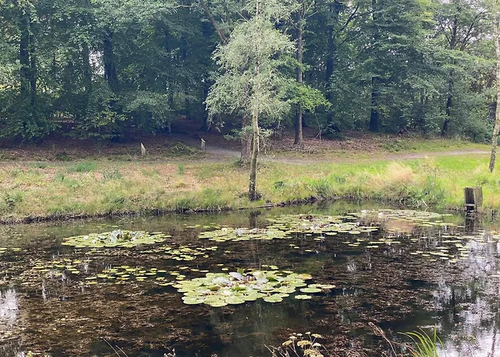 4 Star In Hovborg-by Traum Holiday home